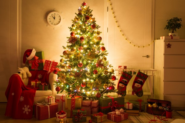 Christmas trees in Staffordshire - Christmas tree