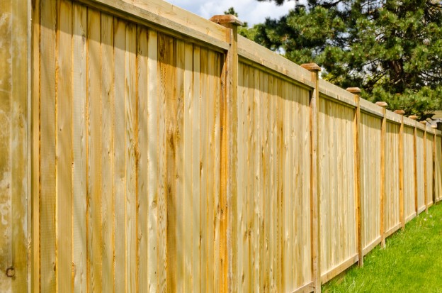 Fencing in Shropshire