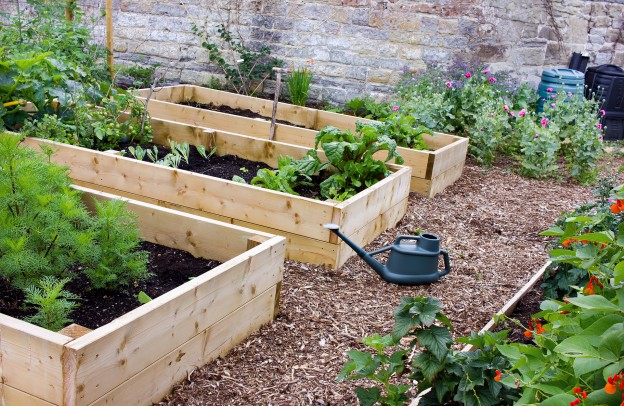 Raised garden beds in Wolverhampton