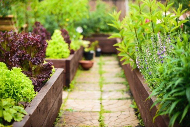 National Gardening Week