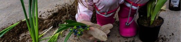 National Gardening Month