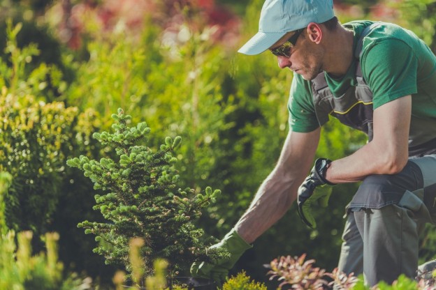 garden landscaping - weston sawmill