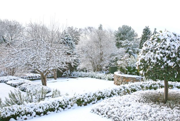 Winter garden - Weston Sawmill