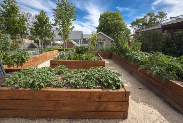 raised garden beds