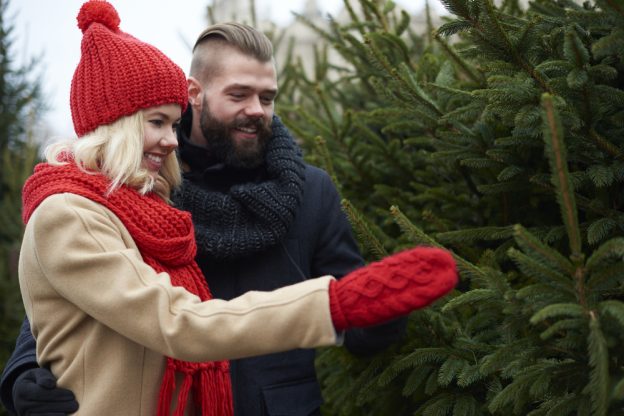 Choosing the Perfect Christmas Tree